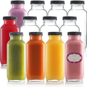 DilaBee Glass Juice Bottles with Lids [12 Pack] Bulk Glass Water Bottles with Caps for Juicing, Smoothie, Milk, and Kombucha – Homemade Drinking Glass Bottles for juicing – 16 Oz